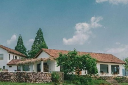 618“囤民宿”势头更猛了 飞猪、小猪民宿商品成交额增长约3倍