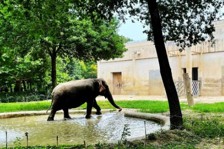 1个月抖音涨粉300万 年轻人捧红了野生新“顶流”！