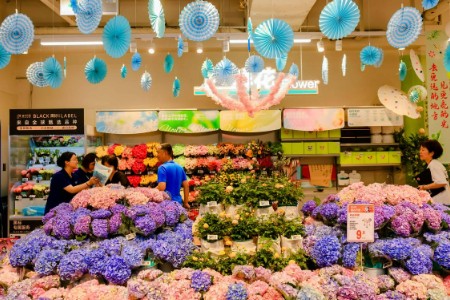 云南进入鲜花产能高峰期 盒马玫瑰绣球等鲜花降价近四成