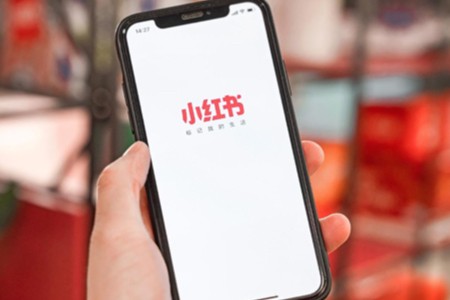 2024上半年 谁在小红书疯狂涨粉？