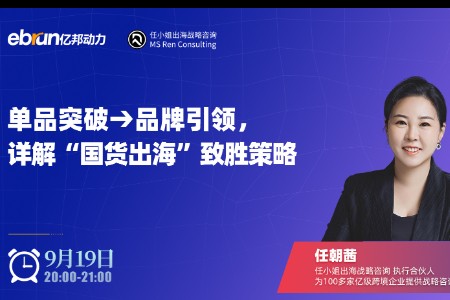 单品突破品牌引领：国货出海的支撑策略深度剖析