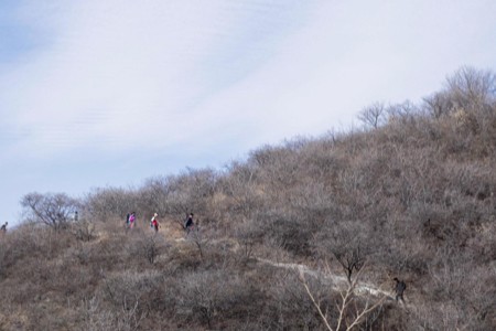 一年花5万 中产鸡娃撑起攀岩新商机