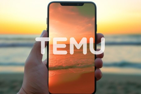 Temu横扫尼日利亚 低价征服一切？