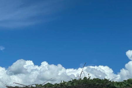 博原资本携手银河通用成立新公司 推动具身智能工业端落地