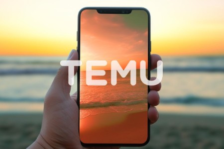 Temu欧洲狂飙的100天：北美业务断崖下跌 他们却找到更好的生意？