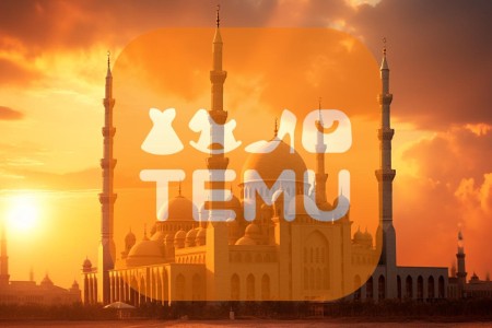 Temu土耳其站上线本土店模式 可提供次日达服务
