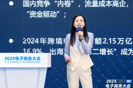 易宝支付蔡英男：电商模式复杂多变 企业需求一体化的全域解决方案