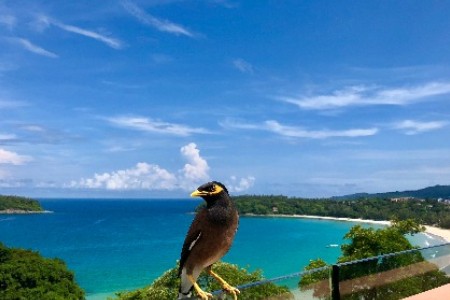 零重力飞机工业完成近3亿元A+++轮融资 将进入文旅场景｜产业融资快报