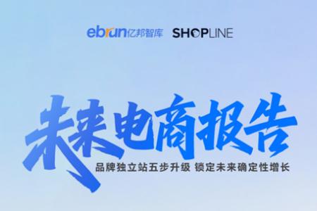 未来电商报告：品牌独立站五步升级锁定未来确定性增长