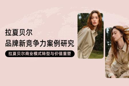 《拉夏贝尔品牌新竞争力案例研究》