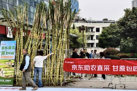 超3万斤甘蔗、1.2万斤蓝莓热销 京东折扣超市清明消费表现亮眼