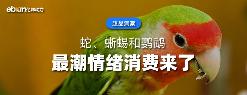 蛇、蜥蜴和鹦鹉  最潮情绪消费来了