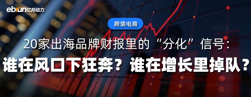 20家出海品牌财报里的“分化”信号：谁在风口下狂奔？谁在增长里掉队？
