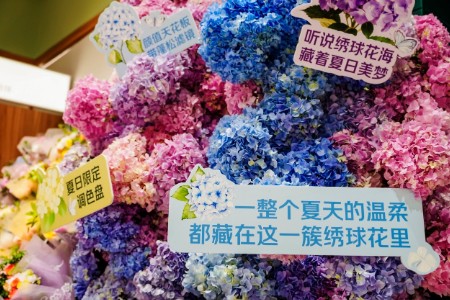 “悦己经济”吹进京东七鲜：绣球季线上销售、线下新用户双双翻倍