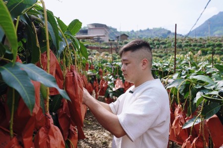 山高弯急的“窄路”不再卡脖子 拼多多“包邮入村”助力果农蹚出上行“宽路”
