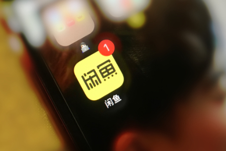 闲鱼公布“恶俗玩梗”类商品治理进展  7月以来下架违规商品1.47万件