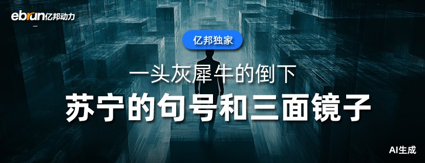 苏宁的句号和三面镜子