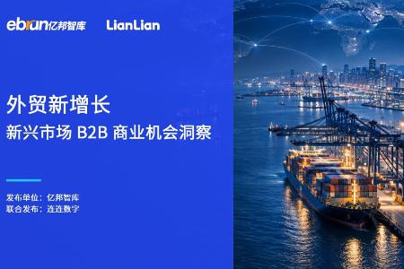《外贸新增长—新兴市场B2B商业机会洞察》